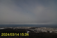 Img20240314_153442.jpg