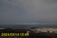 Img20240314_154942.jpg