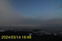Img20240314_164942.jpg