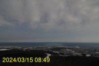 Img20240315_084943.jpg