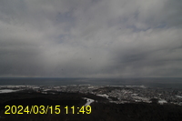 Img20240315_114944.jpg