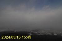 Img20240315_154944.jpg