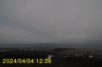 Img20240404_123650.jpg