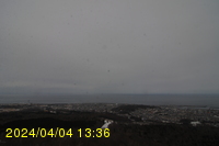 Img20240404_133650.jpg