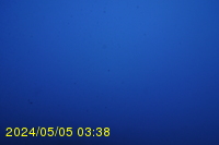 Img20240505_033833.jpg