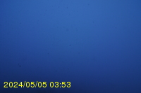 Img20240505_035333.jpg