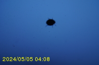 Img20240505_040833.jpg