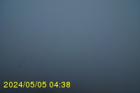 Img20240505_043833.jpg