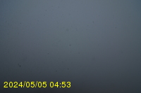 Img20240505_045333.jpg