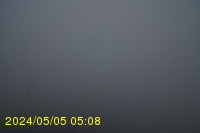 Img20240505_050833.jpg