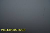 Img20240505_052333.jpg