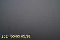 Img20240505_053833.jpg