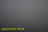 Img20240505_055333.jpg