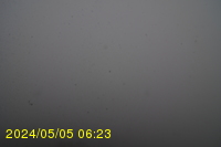 Img20240505_062333.jpg