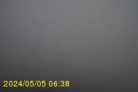 Img20240505_063833.jpg