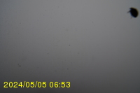 Img20240505_065333.jpg