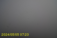 Img20240505_072333.jpg