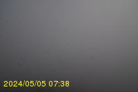 Img20240505_073834.jpg