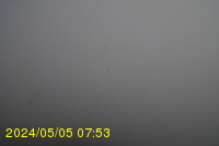 Img20240505_075334.jpg