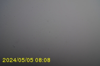 Img20240505_080834.jpg