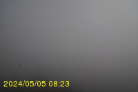Img20240505_082334.jpg