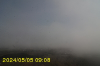 Img20240505_090834.jpg