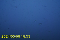 Img20240508_185345.jpg