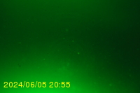 Img20240605_205522.jpg