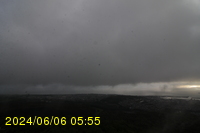 Img20240606_055523.jpg