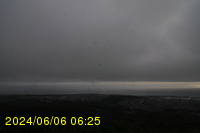 Img20240606_062523.jpg
