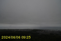 Img20240606_092523.jpg