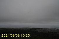 Img20240606_102524.jpg