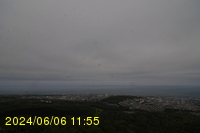 Img20240606_115524.jpg