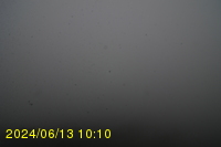 Img20240613_101049.jpg