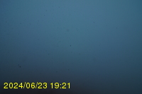 Img20240623_192102.jpg
