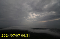 Img20240707_063148.jpg