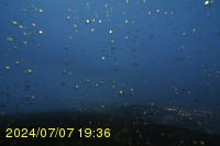 Img20240707_193650.jpg