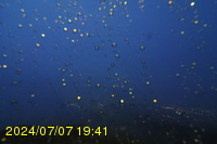 Img20240707_194150.jpg