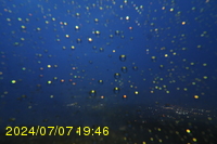 Img20240707_194650.jpg