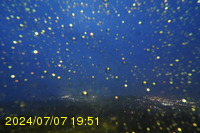 Img20240707_195150.jpg