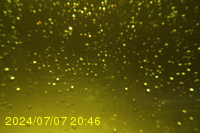Img20240707_204650.jpg