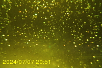 Img20240707_205150.jpg