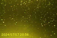 Img20240707_205650.jpg