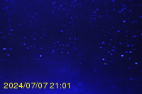 Img20240707_210150.jpg