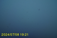 Img20240708_192154.jpg