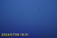 Img20240708_193154.jpg