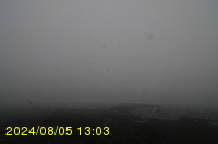 Img20240805_130357.jpg