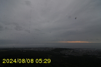 Img20240808_052909.jpg