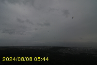 Img20240808_054409.jpg