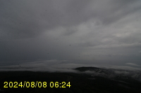 Img20240808_062409.jpg